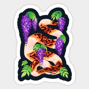 Ball python Sticker